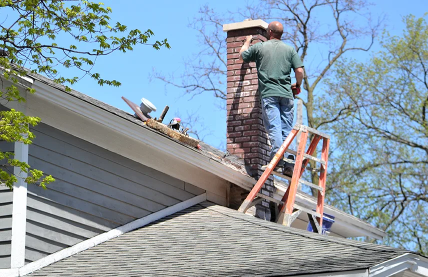 Chimney & Fireplace Inspections Services in Gainesville, GA